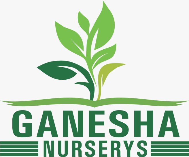 Ganesha nurserys